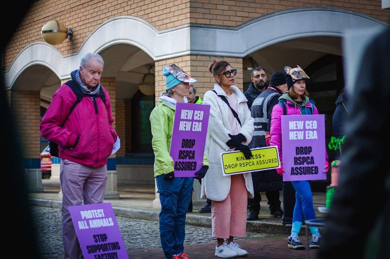 Protestors holding placards: Drop RSPCA Assured 