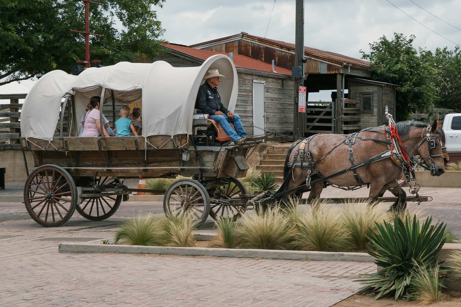 Horse & Cart