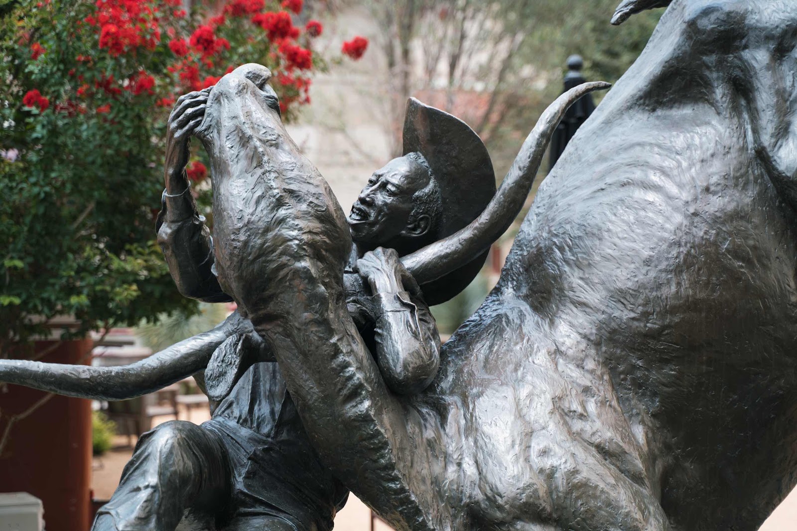 Statue Of An American Bullfighter Wrestling A Long Horn Bull