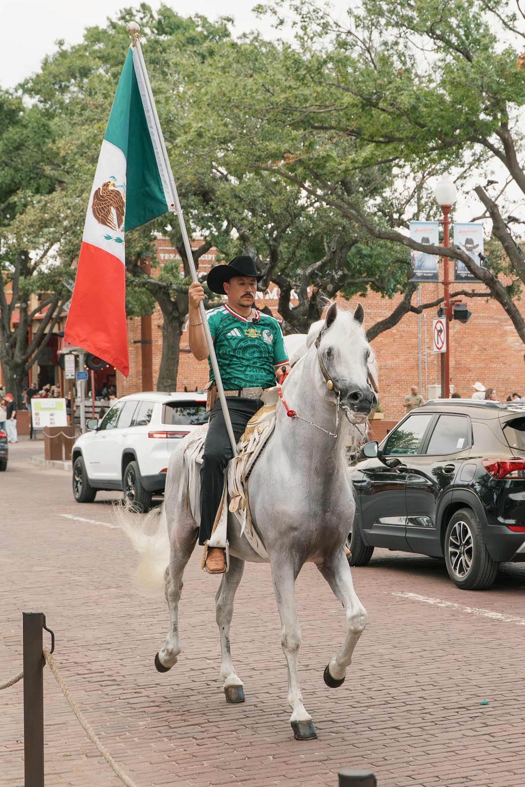 Man Riding A White Show Horse in Fort Worth