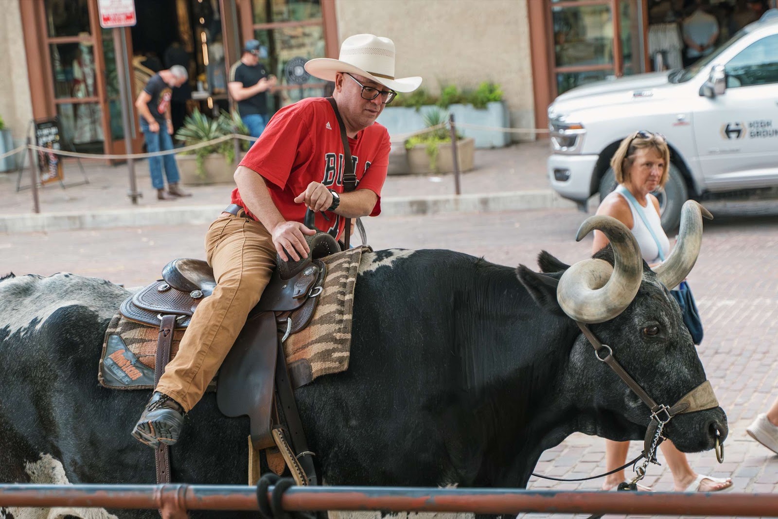 Man Sat On Longhorn Cow 