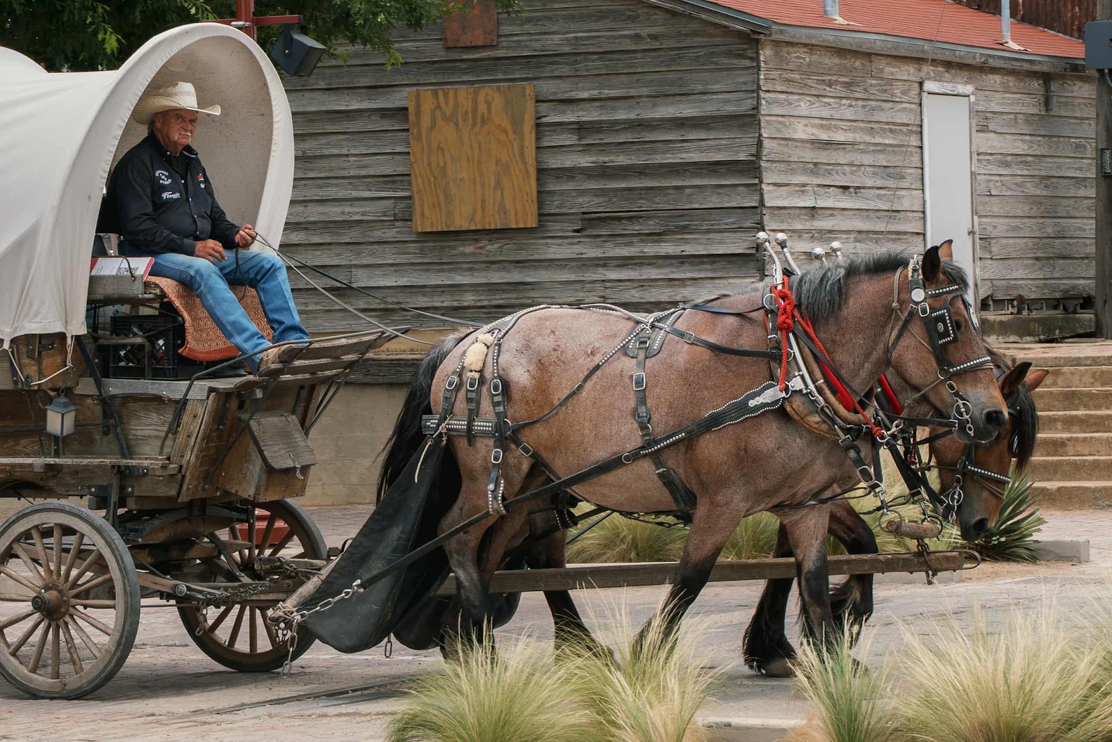Horse & Cart