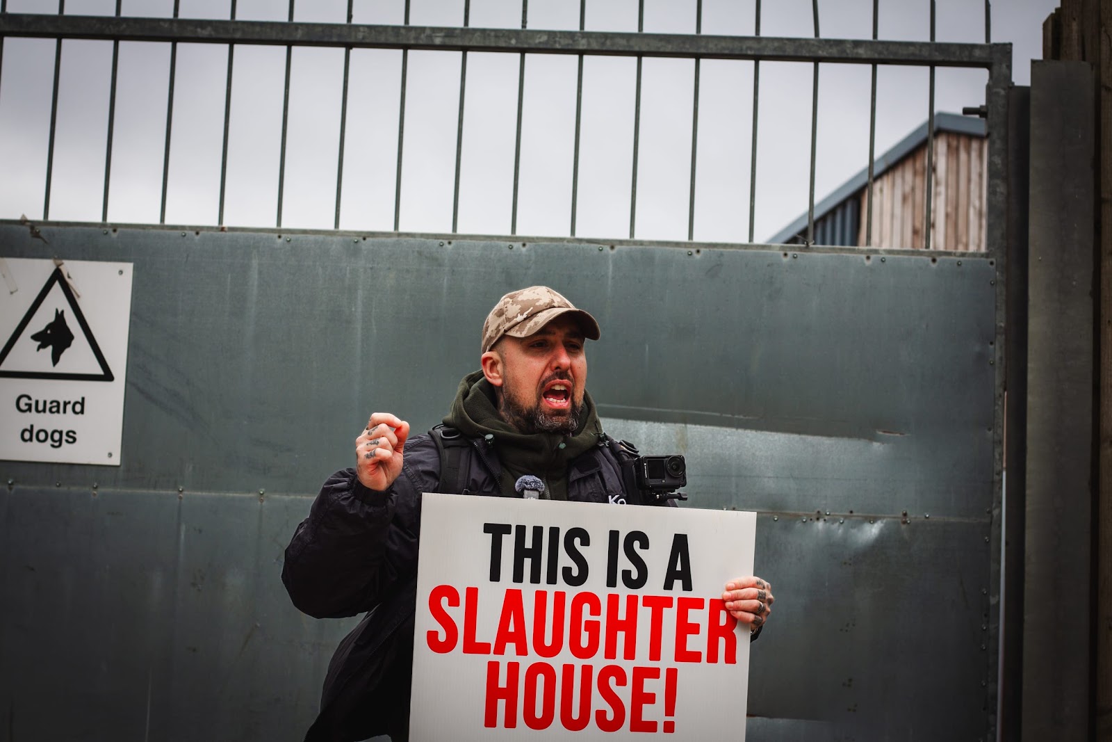 Activist livestreaming at slaughterhouse