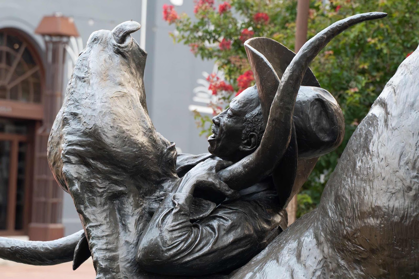 Statue Of An American Bullfighter Wrestling A Long Horn Bull