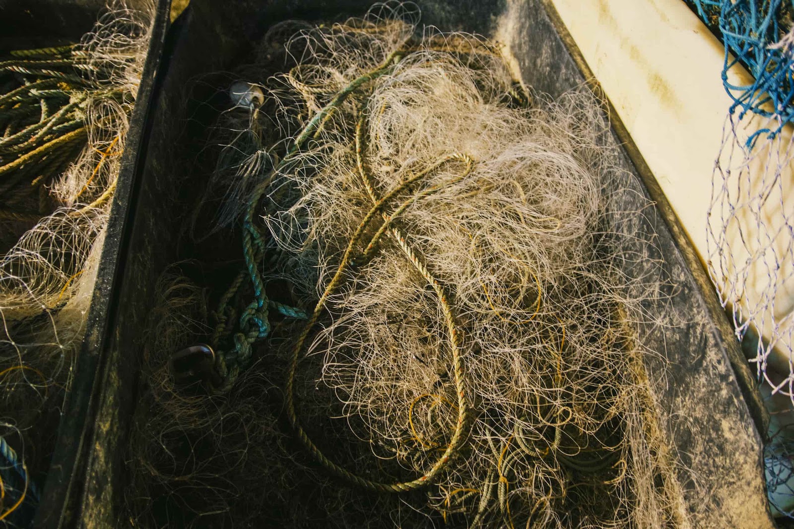 Crate Of Fishing Line & Rope