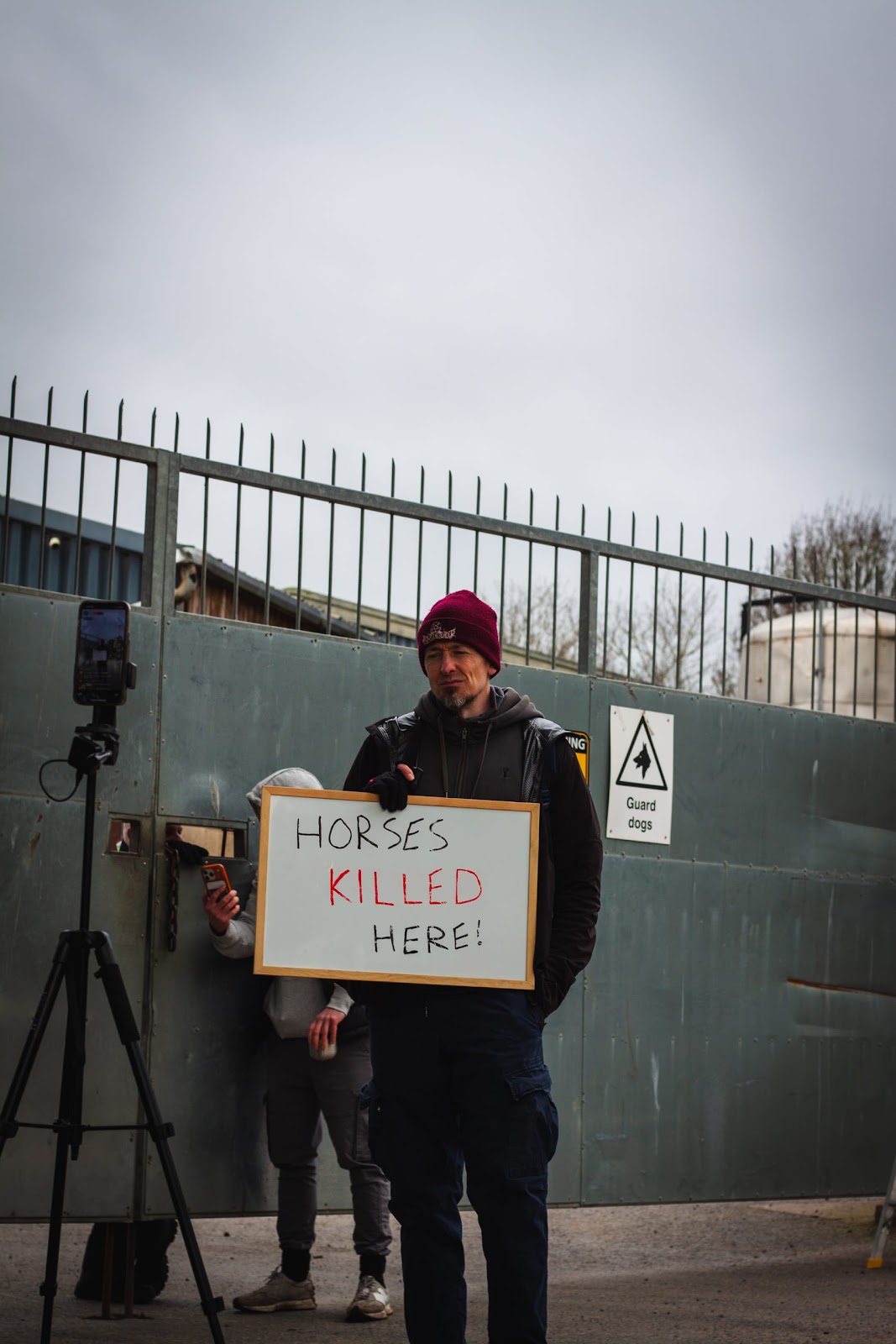 Activist livestreaming at slaughterhouse