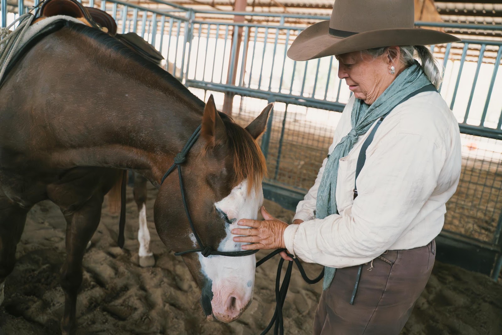 A Handler With A Horse