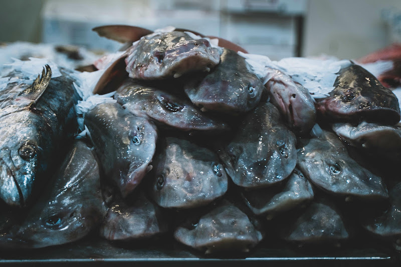 Fish at Billingsgate Fish Market, London
