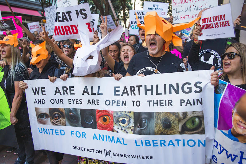 Earthlings - ALC Animal Rights March - San Francisco, USA