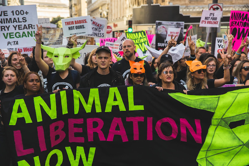 ALC Animal Rights March - San Francisco, USA