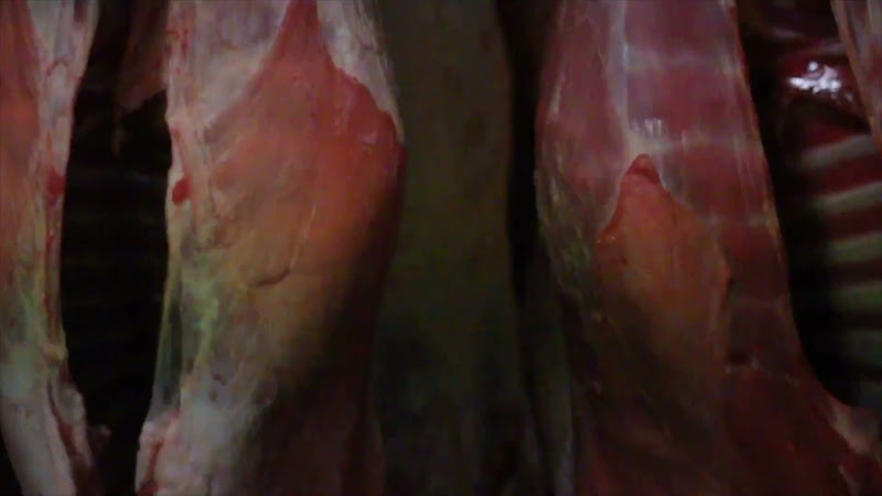 Carcass Freezer - Tideford Slaughterhouse, Cornwall