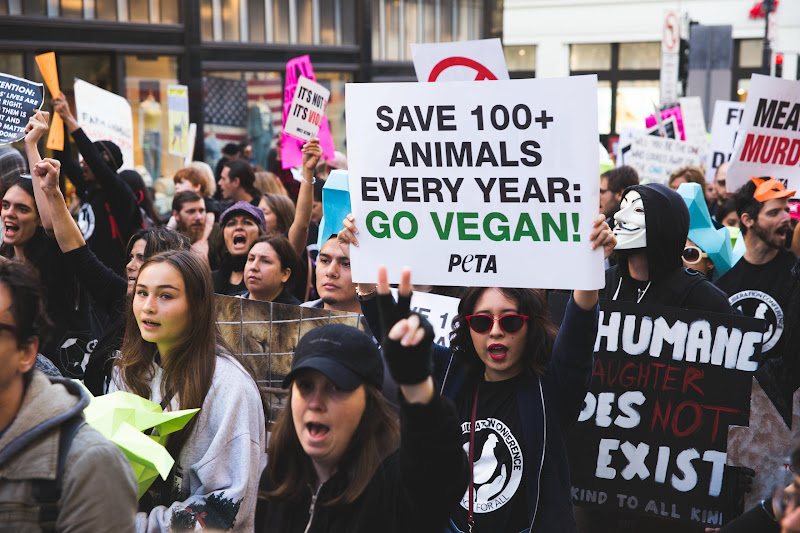 ALC Animal Rights March - San Francisco, USA