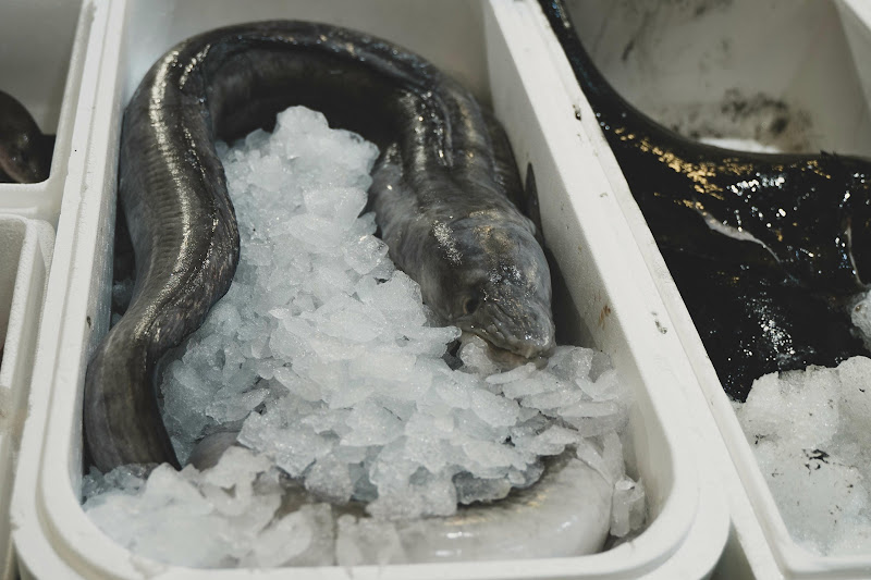Eel at Billingsgate Fish Market, London