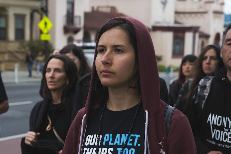 Funeral for farm animals at the Animal Liberation Conference 2018