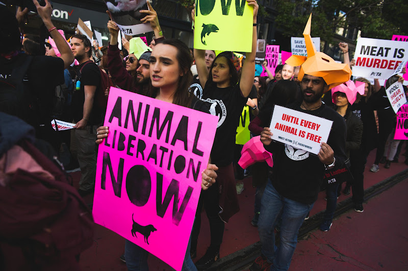 ALC Animal Rights March - San Francisco, USA