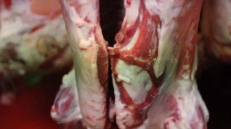 Carcass Freezer - Tideford Slaughterhouse, Cornwall