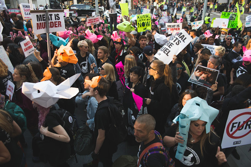 ALC Animal Rights March - San Francisco, USA