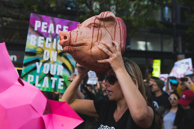 Activist holding model of a pigs head - ALC Animal Rights March - San Francisco, USA
