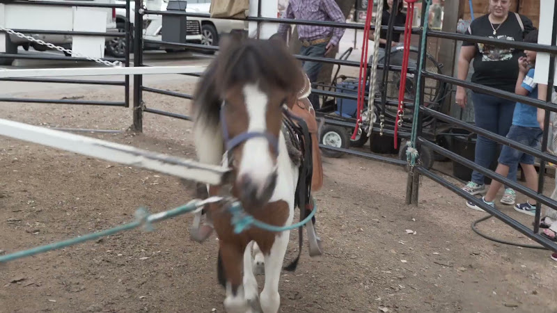 Pony Merry-Go-Around At Fort Worth Stockyards