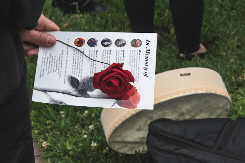 Funeral for farm animals at the Animal Liberation Conference 2018