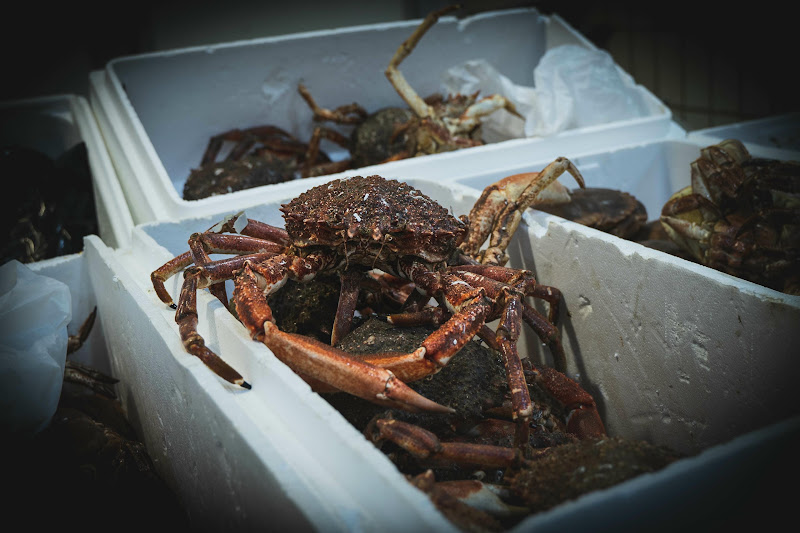 Crab at Billingsgate Fish Market, London