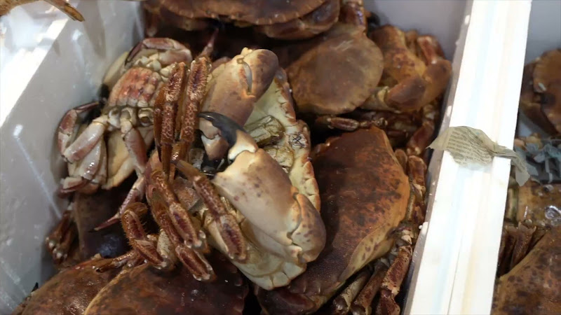 Crab at Billingsgate Fish Market, London
