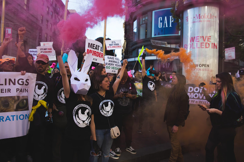 Smoke Bomb - ALC Animal Rights March - San Francisco, USA