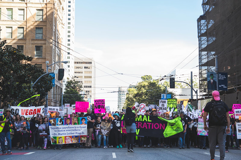 ALC Animal Rights March - San Francisco, USA
