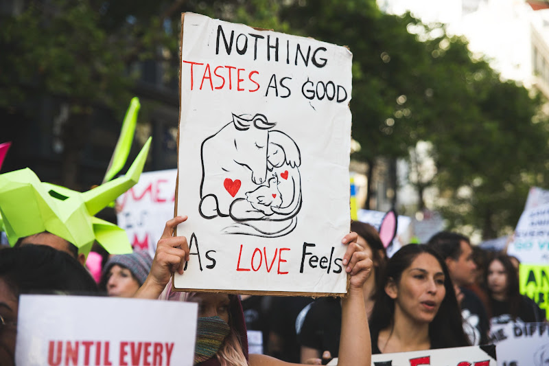 ALC Animal Rights March - San Francisco, USA