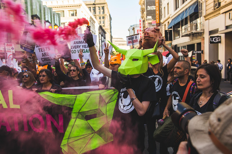 Smoke Bomb - ALC Animal Rights March - San Francisco, USA
