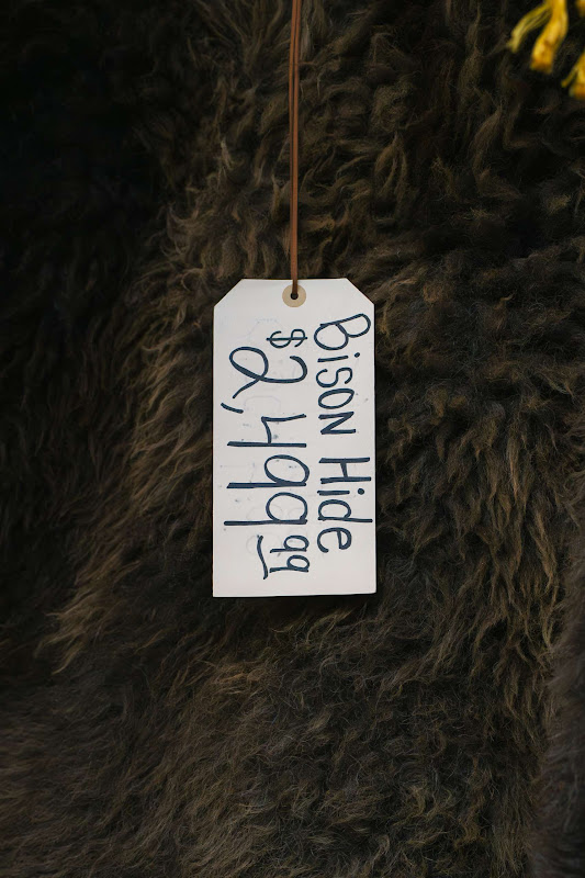 Bison Hide