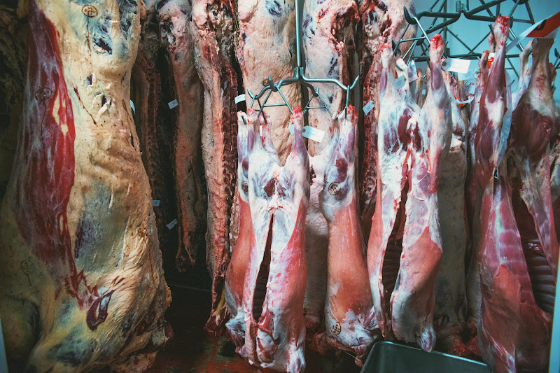 Carcass freezer at Tideford Slaughterhouse, Cornwall