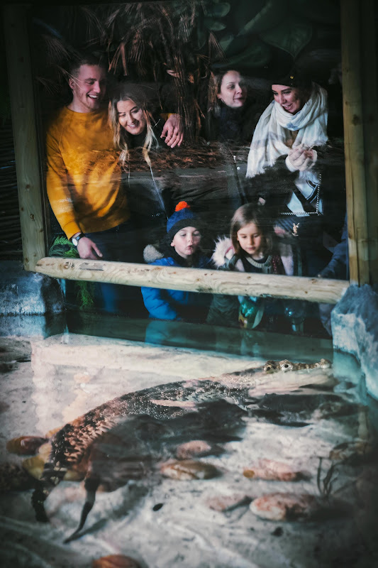 Family stare at captive Crocodile at Longleat Safari Park