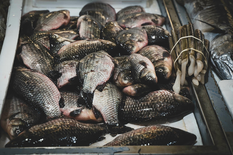 Fish at Billingsgate Fish Market, London