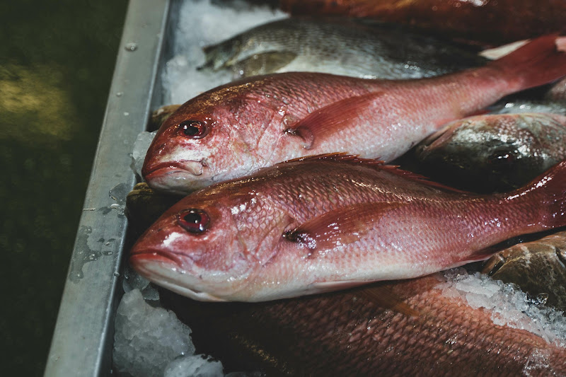 Fish at Billingsgate Fish Market, London