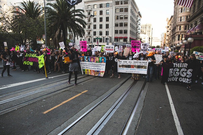 ALC Animal Rights March - San Francisco, USA