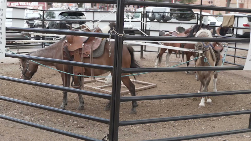 Pony Merry-Go-Around At Fort Worth Stockyards
