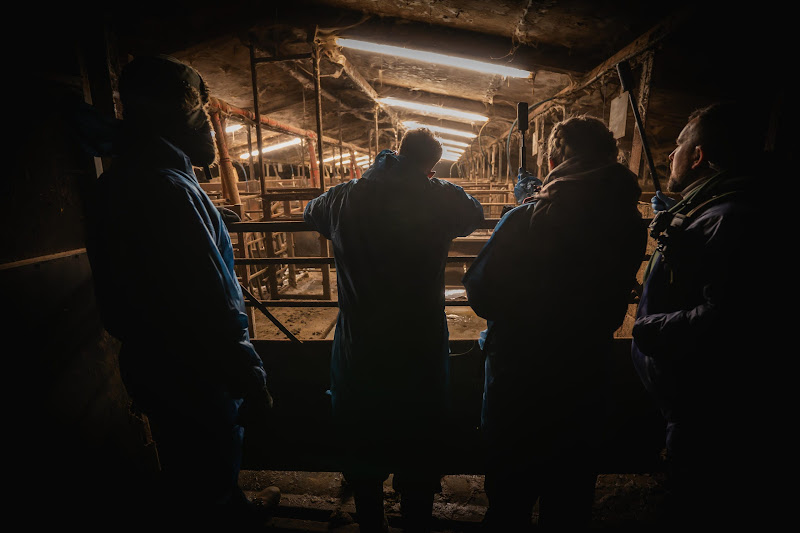 Activists look into Pig Farm