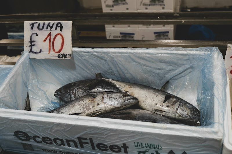 Tuna fish at Billingsgate Fish Market, London