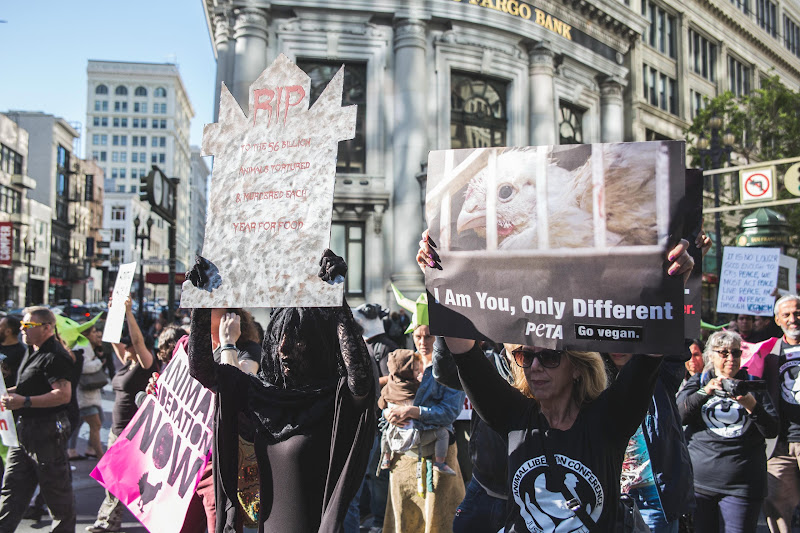ALC Animal Rights March - San Francisco, USA