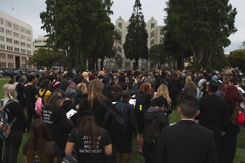 Funeral for farm animals at the Animal Liberation Conference 2018