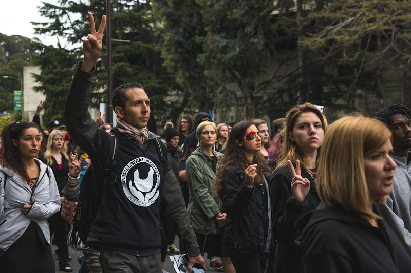 Funeral for farm animals at the Animal Liberation Conference 2018