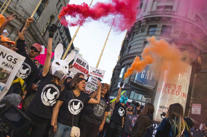 Smoke Bomb - ALC Animal Rights March - San Francisco, USA