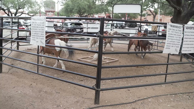Pony Merry-Go-Around At Fort Worth Stockyards