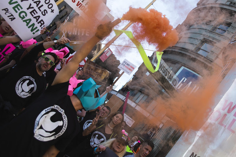 Smoke Bomb - ALC Animal Rights March - San Francisco, USA