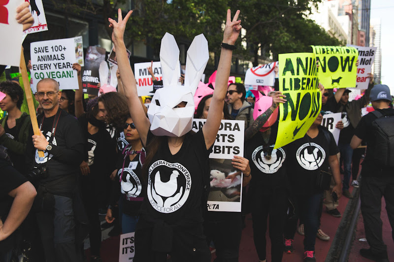 ALC Animal Rights March - San Francisco, USA